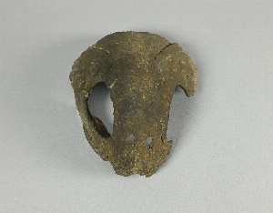 A497