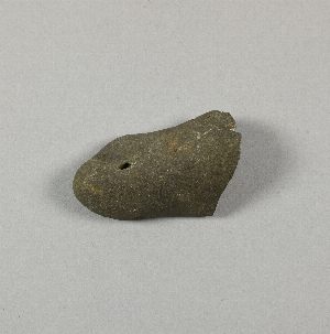 A519G