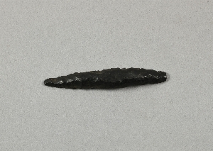 A524G