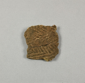 A525.5