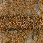 663005