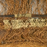 663007