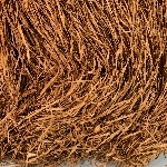 663126
