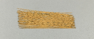 37245
