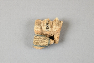 11894