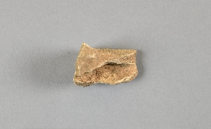 12920D
