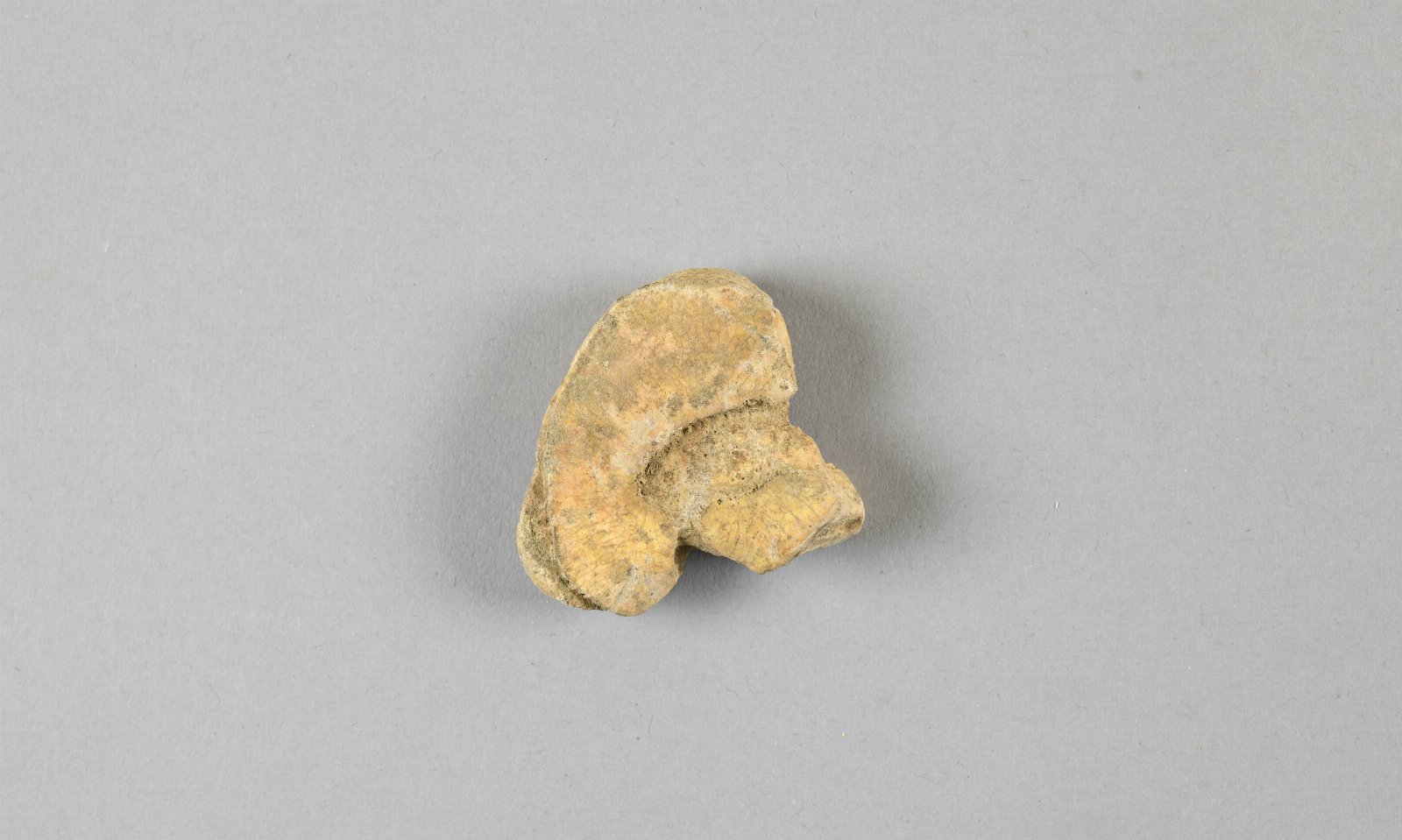 665589