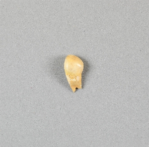 EU529B