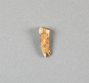 EU529C