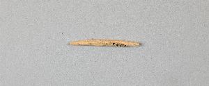 EU510