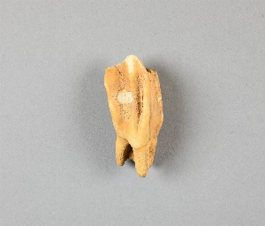 EU553B