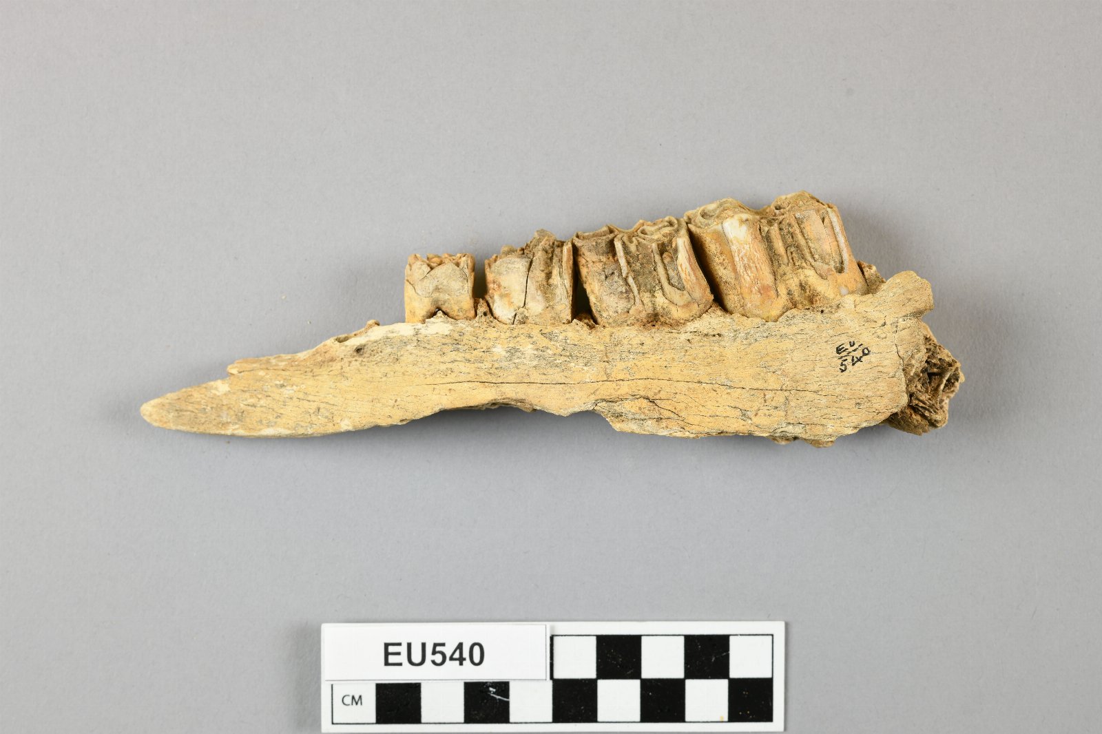 666065