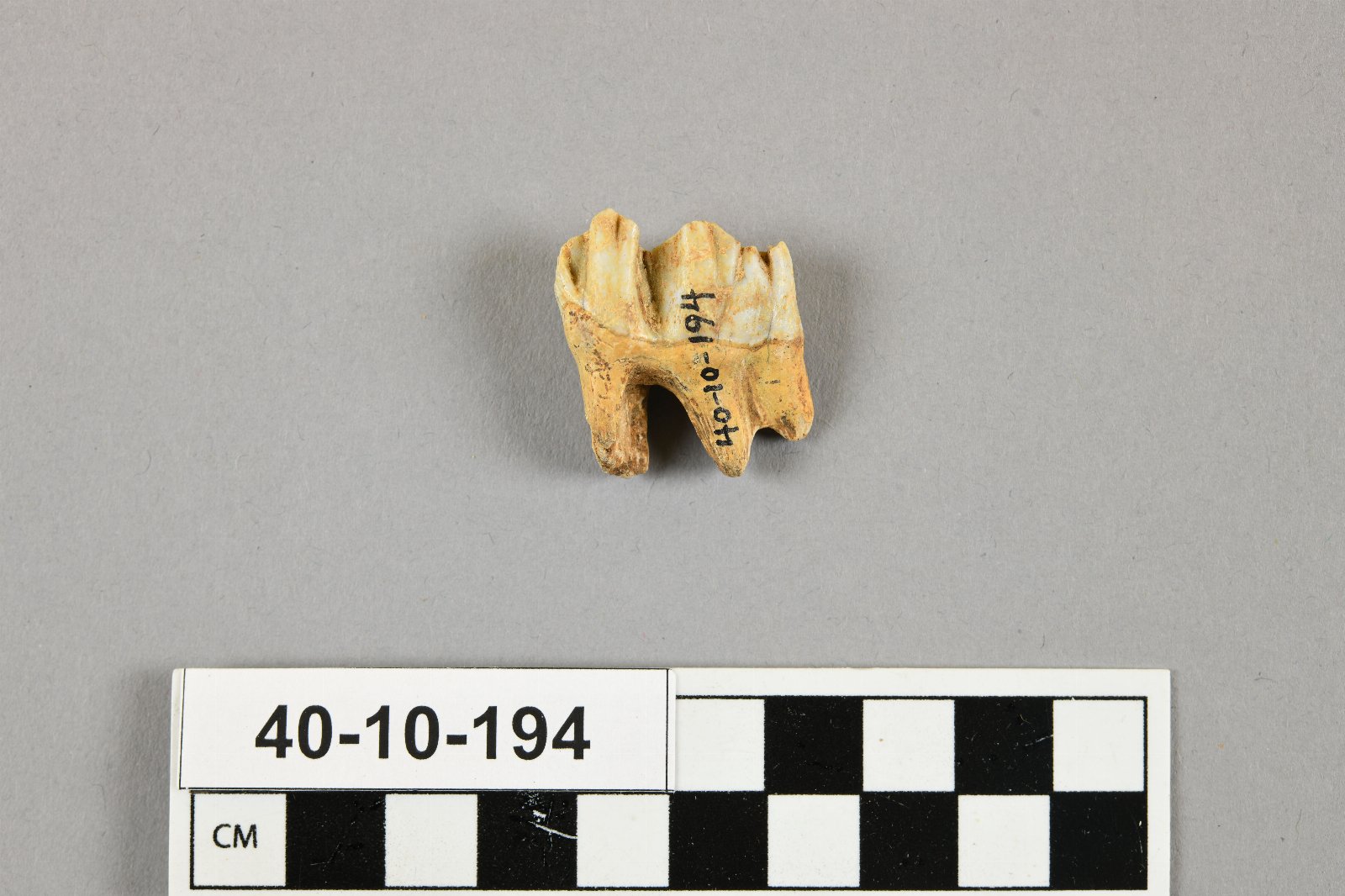 666609