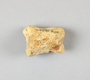 40-10-303