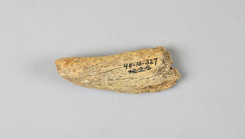 667094