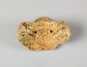40-10-502
