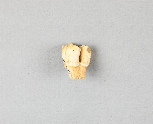 40-10-508
