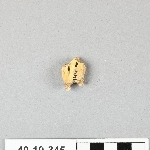 667354