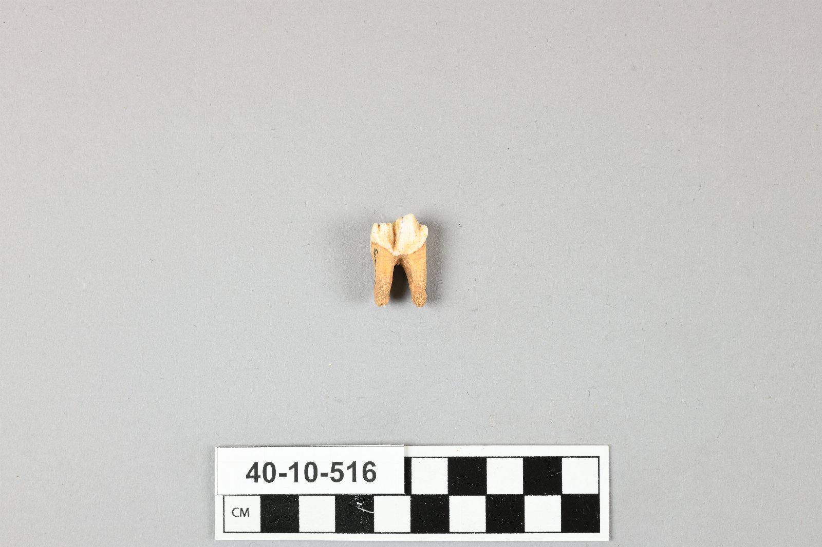 667408