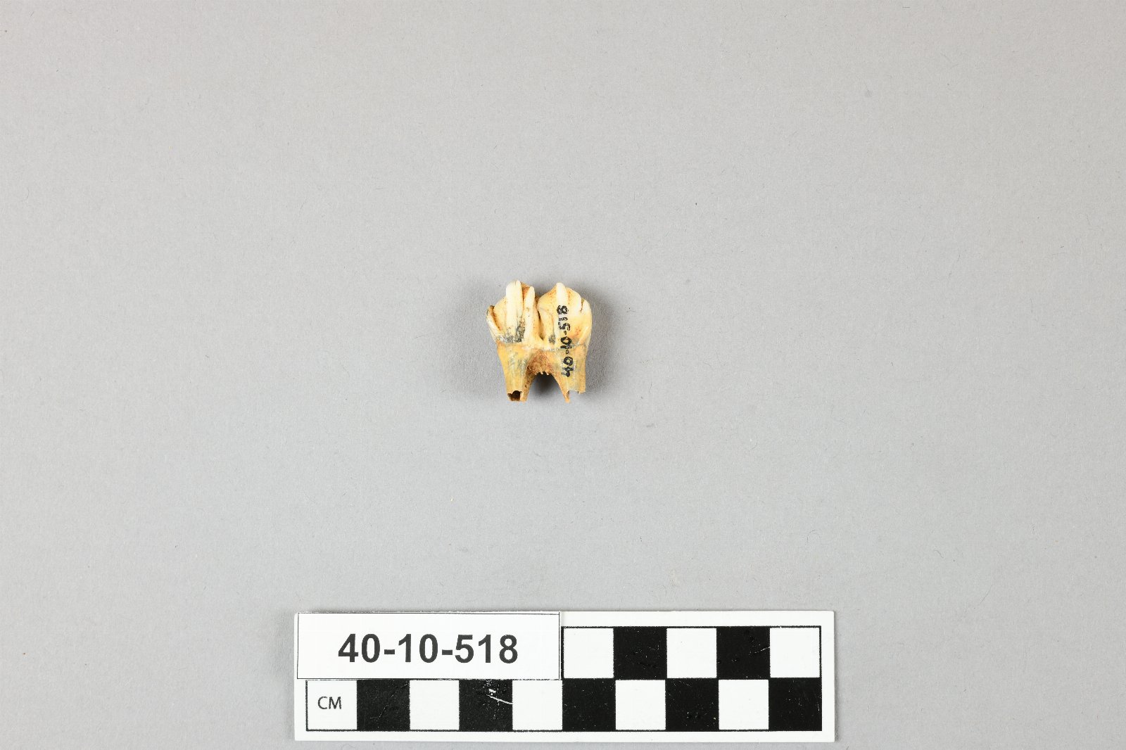 667412