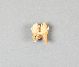 87-16-389