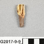 667761