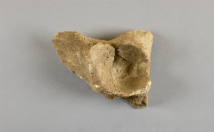 EU325