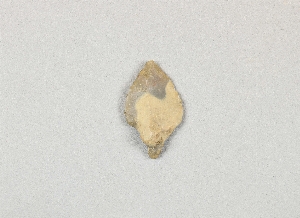 11960
