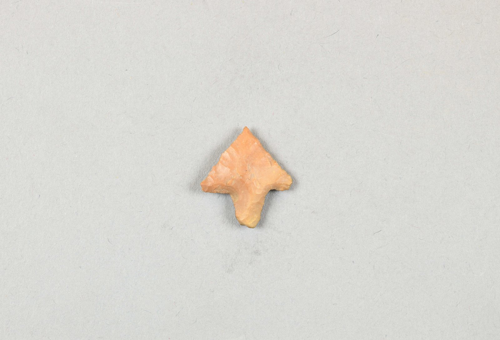669686