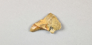 EU785A