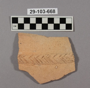 29-103-668
