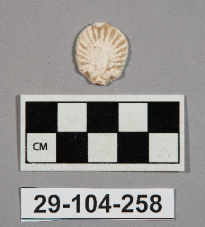 29-104-258