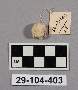 29-104-403