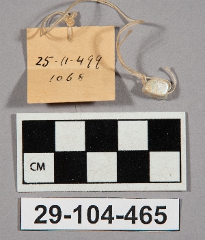 29-104-465