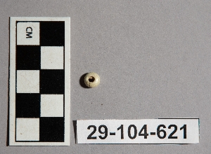 29-104-621