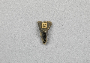 13810B