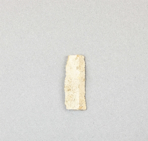 37-31-8