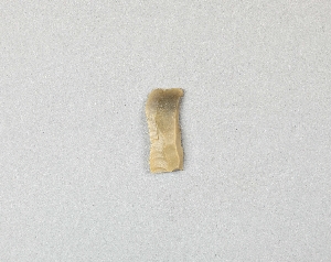 87-16-365