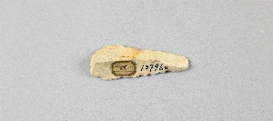 13796E