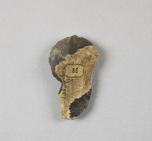 13809D