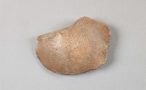 21851
