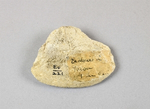 EU221