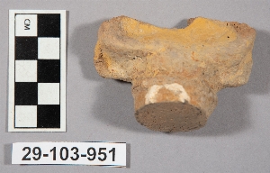 29-103-951