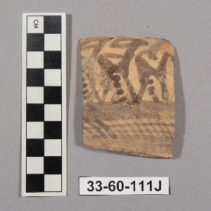33-60-111J