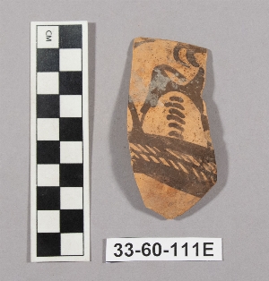 33-60-111E