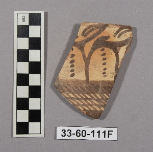 33-60-111F