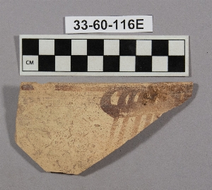 33-60-116E