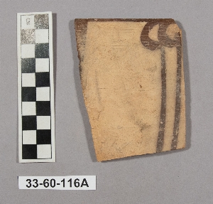 33-60-116A