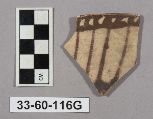 33-60-116G