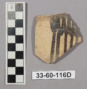 33-60-116D